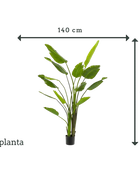 Strelitzia artificiale - Colin | 180 cm
