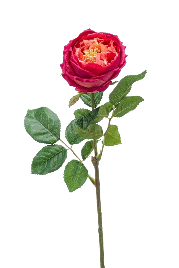 Hochwertige Kunstpflanze | Künstliche Rose - Estefania | 60 cm von 🌱aplanta