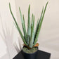 Künstliche Aloe - Penelope | 35 cm | Kunstpflanze von aplanta