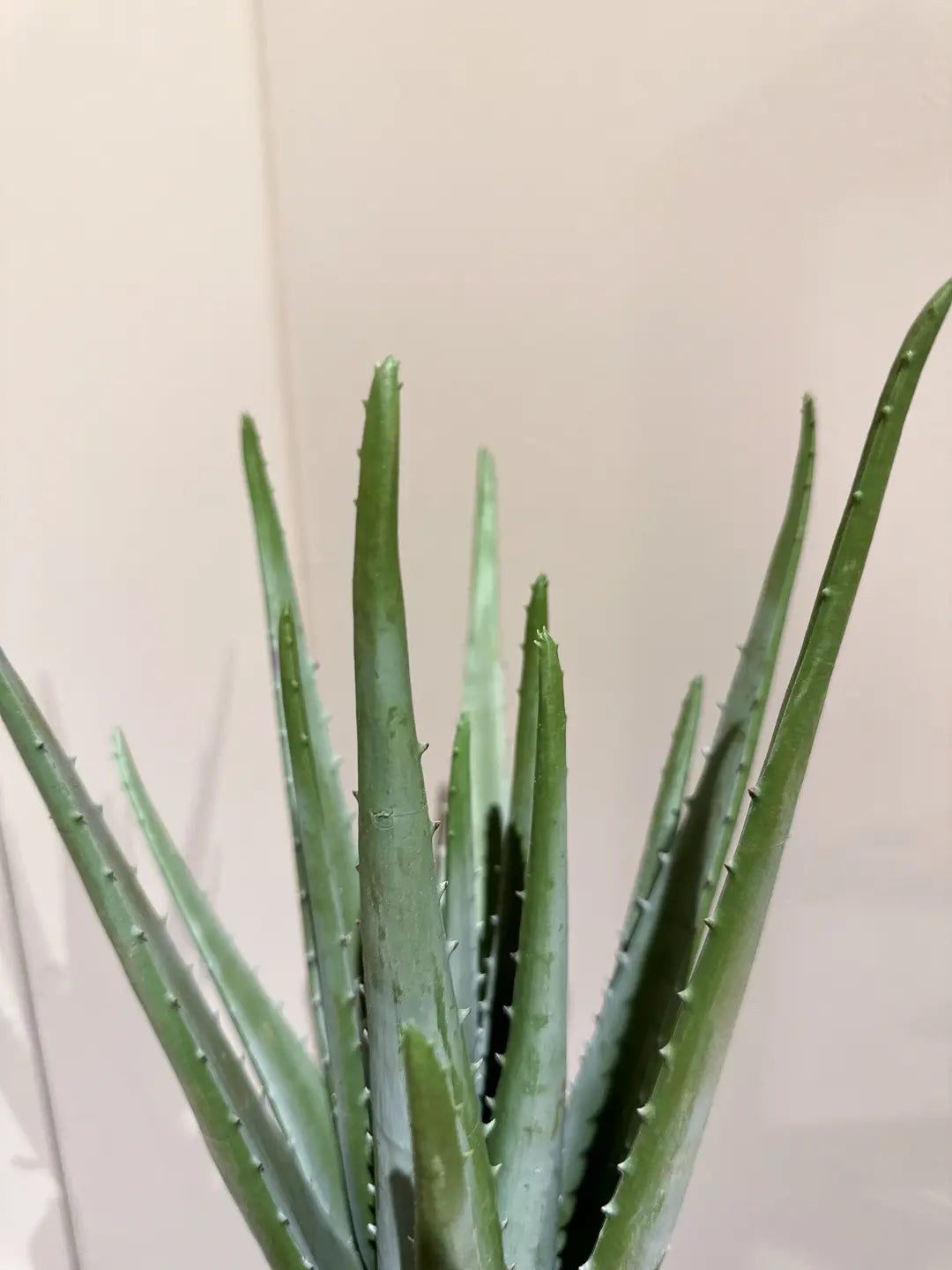 Künstliche Aloe - Penelope | 35 cm | Kunstpflanze von aplanta
