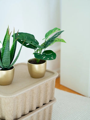 Arbusto artificiale di monstera - Lotte | 30 cm