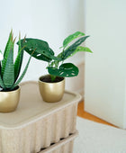 Arbusto artificiale di monstera - Lotte | 30 cm
