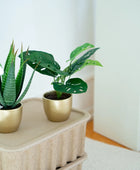 Arbusto artificiale di monstera - Lotte | 30 cm