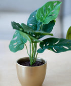 Arbusto artificiale di monstera - Lotte | 30 cm