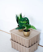 Arbusto artificiale di monstera - Lotte | 30 cm