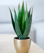 Aloe artificiale - Patricia | 23 cm