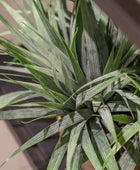 Erba artificiale - Gianna | 33 cm