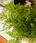 Felce artificiale - Gustav | 40 cm