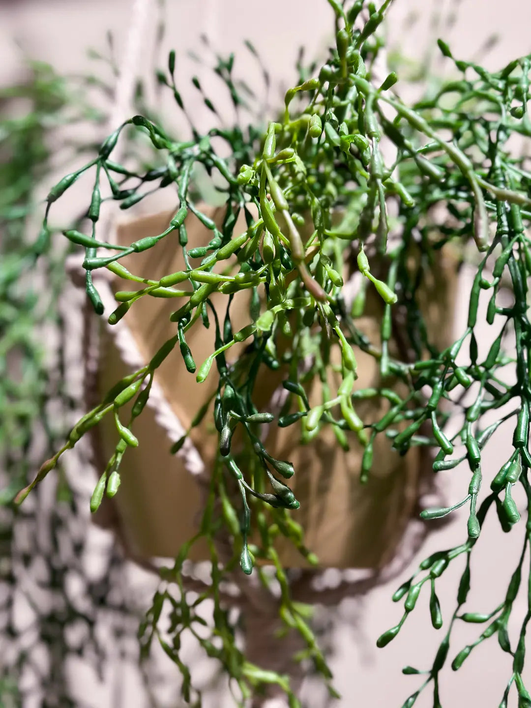 Künstliche Rhipsalis - Karla | 90 cm | Kunstpflanze von aplanta