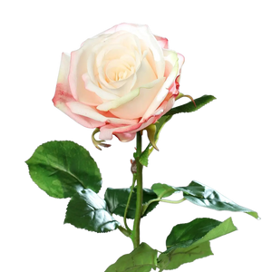 Rosa artificiale - Xenia | 66 cm