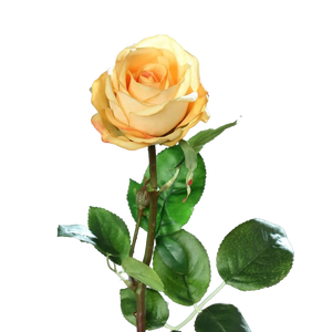 Rosa artificiale - Platone | 66 cm