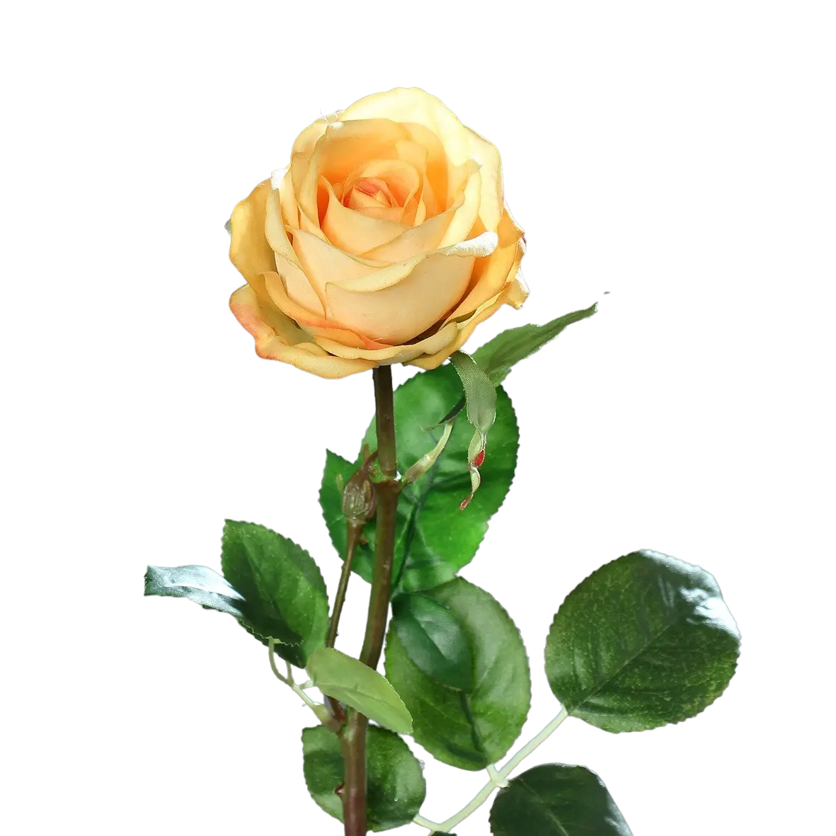 Rosa artificiale - Platone | 66 cm