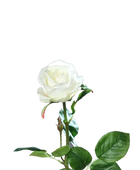 Rosa artificiale - Alexandros | 66 cm