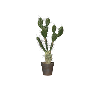 Cactus artificiale con aghi - John | 58 cm