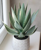 Aloe artificiale - Jacky | 33 cm