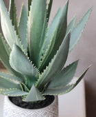 Aloe artificiale - Jacky | 33 cm