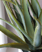 Aloe artificiale - Yvonne | 53 cm