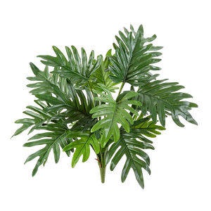 Filodendro artificiale - Selin | 50 cm