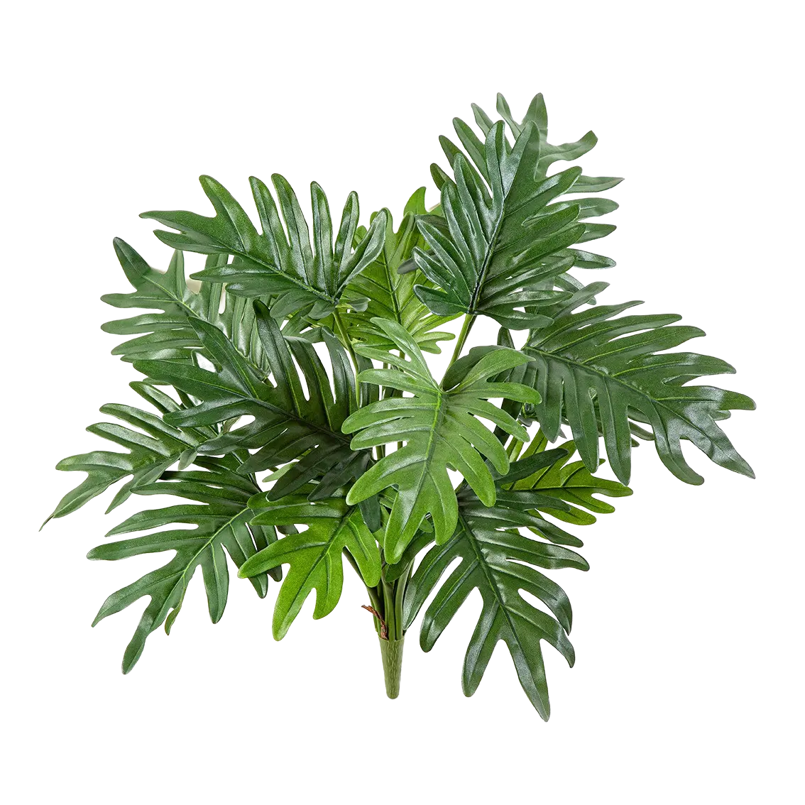 Filodendro artificiale - Selin | 50 cm