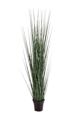Erba artificiale - Zebra | 120 cm
