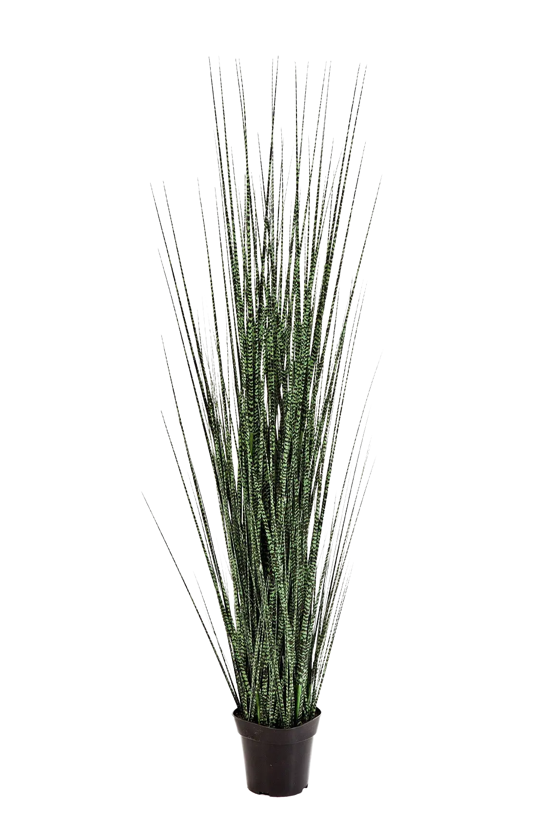 Erba artificiale - Zebra | 120 cm