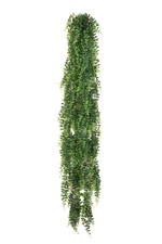 Hochwertige künstliche Hängepflanze auf transparentem Hintergrund mit echt wirkenden Kunstblättern in natürlicher Anordnung. Künstlicher Schwertfarn - Elisabeth hat die Farbe Natur und ist 140 cm hoch. | aplanta Kunstpflanzen