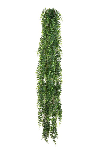 Hochwertige künstliche Hängepflanze auf transparentem Hintergrund mit echt wirkenden Kunstblättern in natürlicher Anordnung. Künstlicher Schwertfarn - Elisabeth hat die Farbe Natur und ist 140 cm hoch. | aplanta Kunstpflanzen