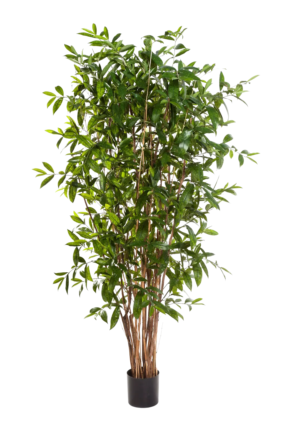 Albero artificiale del drago - Ina | 210 cm