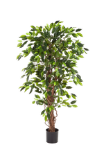 Künstlicher Ficus - Issa, 180 cm, Kunstbaum von aplanta, in Natur, für drinnen