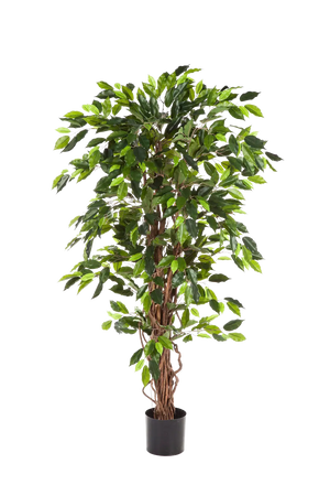 Ficus artificiale - Issa | 210 cm