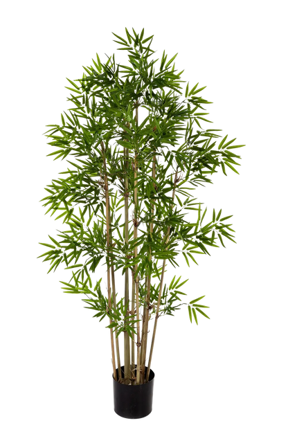 Künstlicher Bambus - Lotta | 200 cm