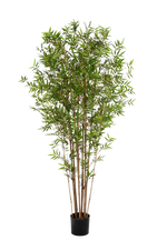 Künstlicher Bambus - Lucas, 180 cm, Kunstbaum von aplanta, mit Echtholzstamm, im schwarzen Topf, in Natur, für drinnen