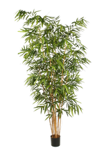 Künstlicher Bambus - Lars auf transparentem Hintergrund mit echt wirkenden Kunstblättern. Diese Kunstpflanze gehört zur Gattung/Familie der "Bambuse" bzw. "Kunst-Bambuse".