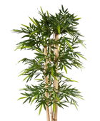 Künstlicher Bambus - Martha auf transparentem Hintergrund mit echt wirkenden Kunstblättern. Diese Kunstpflanze gehört zur Gattung/Familie der 