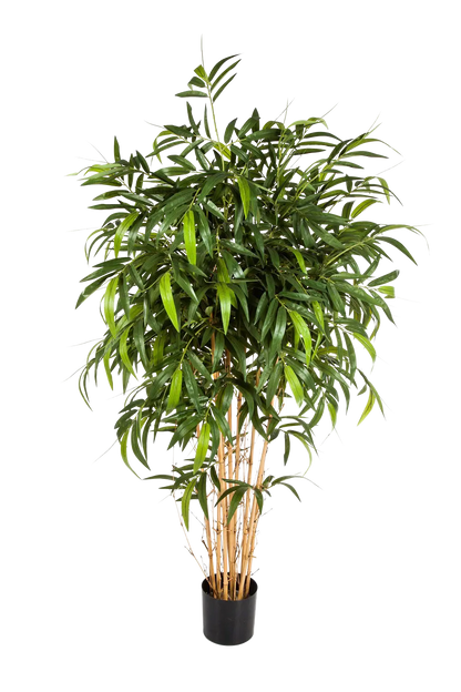 Künstlicher Bambus - Maxim, 180 cm, Kunstbaum von aplanta, mit Echtholzstamm, in Natur, für drinnen