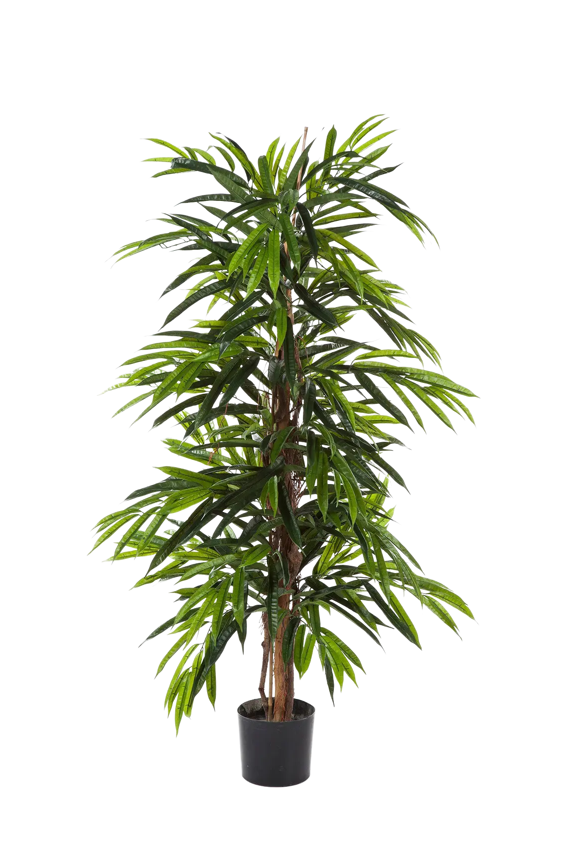 Longifolia artificiale - Maurice | 180 cm