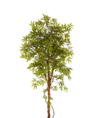 Künstlicher Japanischer Ahorn - Oona | 210 cm