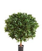 Künstlicher Lorbeer - Rosa auf transparentem Hintergrund mit echt wirkenden Kunstblättern. Diese Kunstpflanze gehört zur Gattung/Familie der 