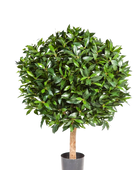 Künstlicher Lorbeer - Rosa auf transparentem Hintergrund mit echt wirkenden Kunstblättern. Diese Kunstpflanze gehört zur Gattung/Familie der 