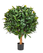 Künstlicher Lorbeer - Tessa auf transparentem Hintergrund mit echt wirkenden Kunstblättern. Diese Kunstpflanze gehört zur Gattung/Familie der 