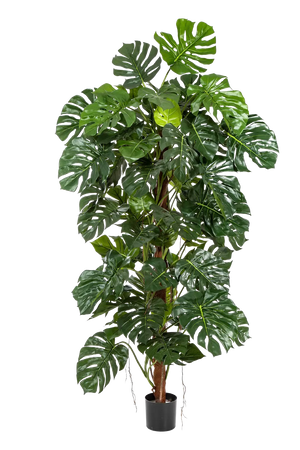 Pianta artificiale edera real touch variegata medium