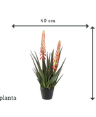 Aloe artificiale - Paulina | 80 cm