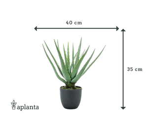 Aloe artificiale - Penelope | 35 cm