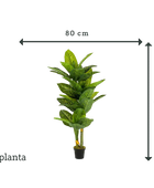 Dieffenbachia artificiale - Milena | 175 cm