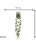 Ghirlanda di edera artificiale - Joline | 180 cm