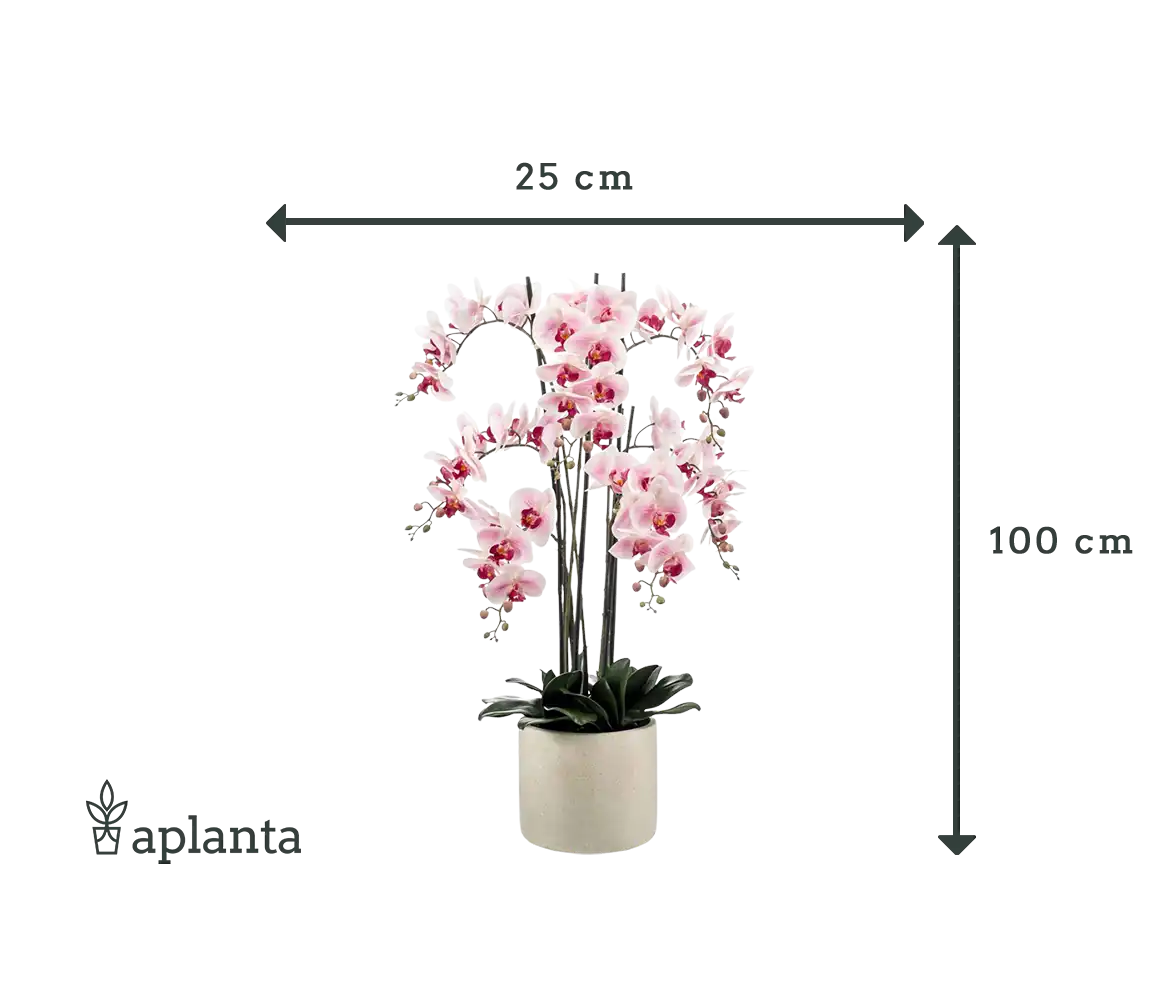 Orchidea artificiale - Leo | 100 cm