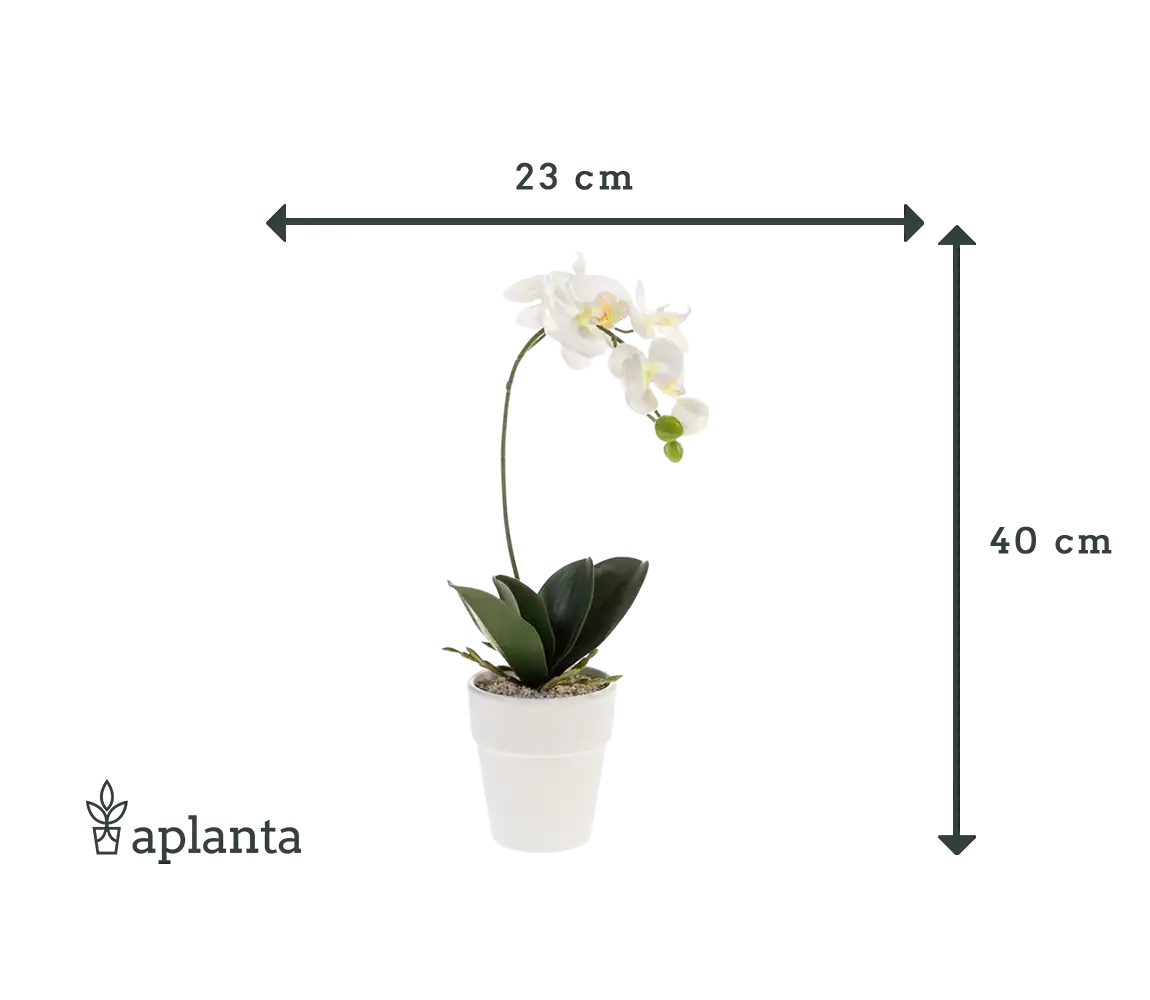 Orchidea artificiale - Linus | 40 cm