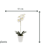 Orchidea artificiale - Linus | 55 cm