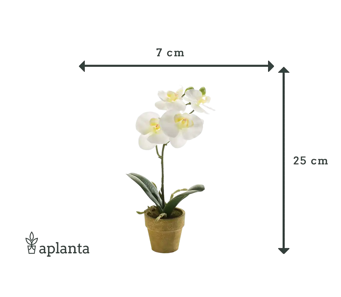 Orchidea artificiale - Louisa | 25 cm