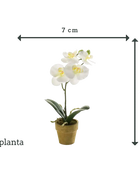 Orchidea artificiale - Louisa | 25 cm